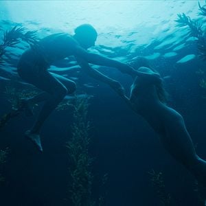 Foto Dogs Don’t Wear Pants