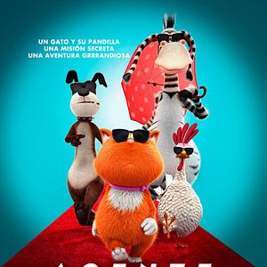 Foto Agente 00 - gato