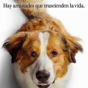 Foto La razón de estar contigo: Un nuevo viaje