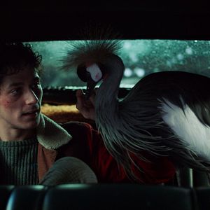 Foto O Beautiful Night