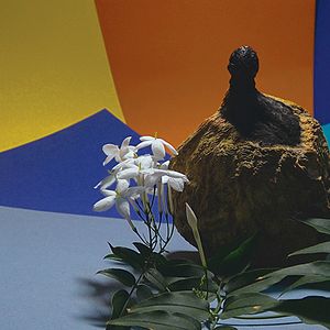 Foto Être vivant et le savoir