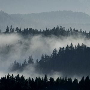 Foto Cazador de monstruos