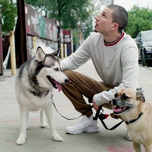 Foto Los paseos de Bruno