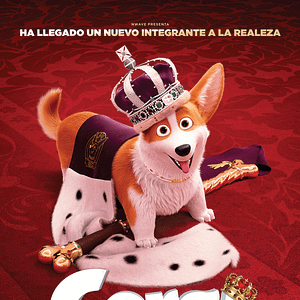 Foto Corgi: Un perro real