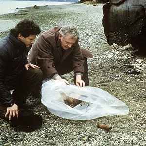 Foto Twin Peaks: Picos Gemelos