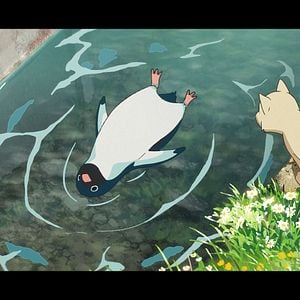 Foto Autopista Pingüino