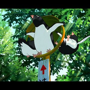 Foto Autopista Pingüino