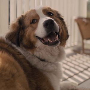 Foto La razón de estar contigo: Un nuevo viaje