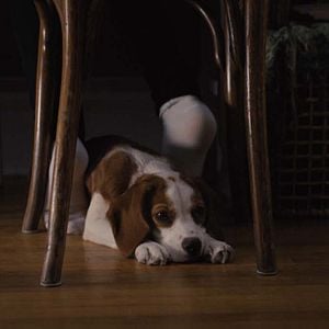 Foto La razón de estar contigo: Un nuevo viaje