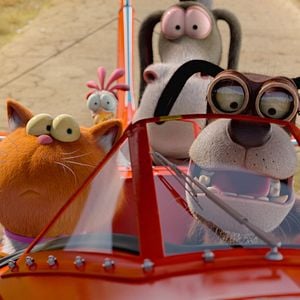 Foto Agente 00 - gato