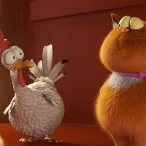 Foto Agente 00 - gato