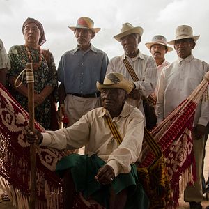 Foto Pájaros de Verano