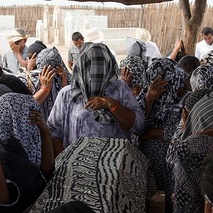 Foto Pájaros de Verano