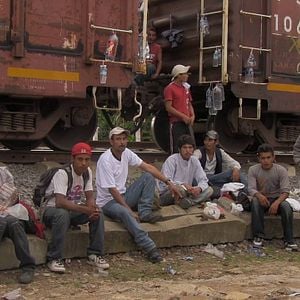 Foto Llévate mis amores