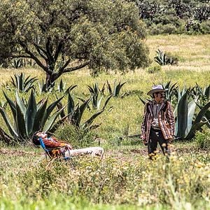 Foto Me gusta, pero me asusta