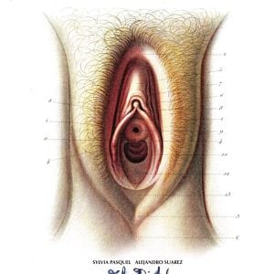 Foto El diablo entre las piernas