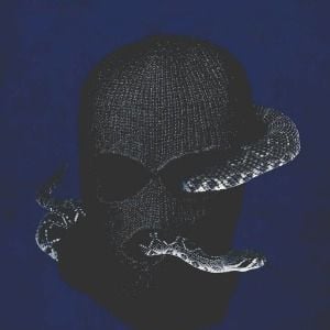 Foto Serpiente de cascabel