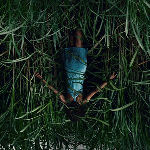 Foto En la hierba alta