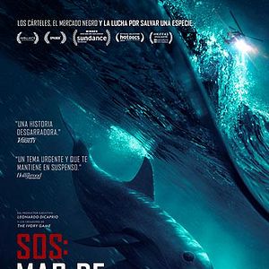 Foto SOS: Mar de Sombras