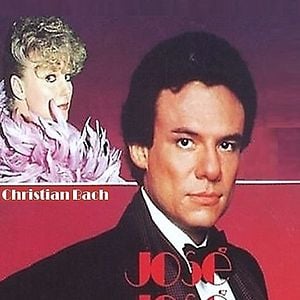 Foto Gavilán o Paloma