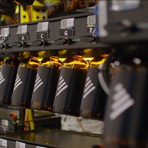 Foto Naturaleza humana