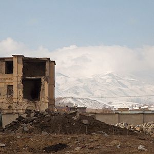 Foto A Dog Called Money