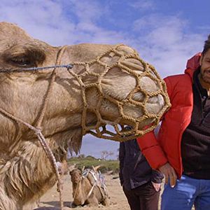 Foto De Viaje con los Derbez