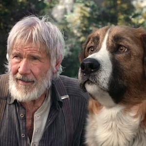 Foto El llamado salvaje