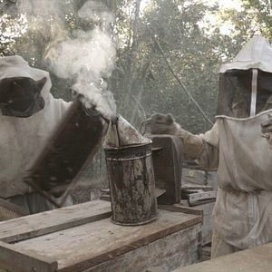 Foto ¿Qué les pasó a las abejas?