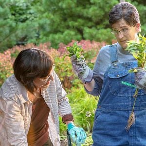 Foto Work in Progress