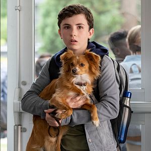 Foto ¡Guau, qué amigo!