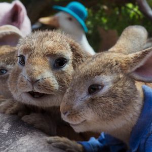 Foto Peter Rabbit 2: Conejo en fuga