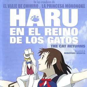 Foto Haru en el reino de los gatos