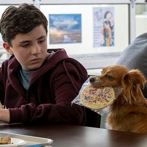 Foto ¡Guau, qué amigo!