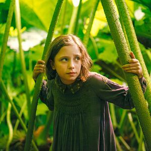 Foto El jardín secreto