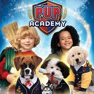 Foto Academia de cachorros