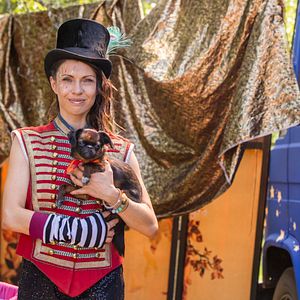 Foto Lassie Vuelve a Casa