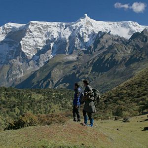 Foto Lunana: A Yak in the Classroom