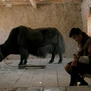 Foto Lunana: A Yak in the Classroom