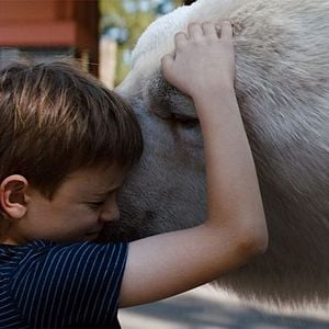 Foto Las aventuras de Timmy Fracaso