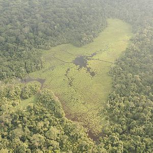 Foto Nuestro Planeta