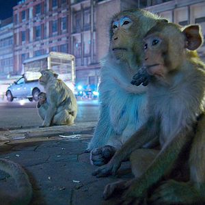 Foto La Tierra de noche