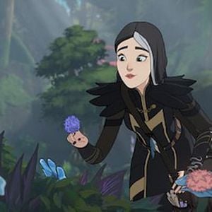 Foto El príncipe dragón