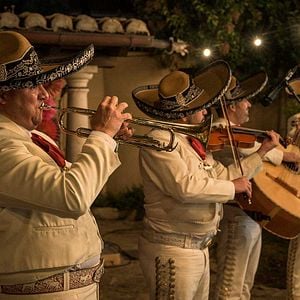 Foto Vis a Vis: El Oasis