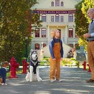 Foto Academia de cachorros