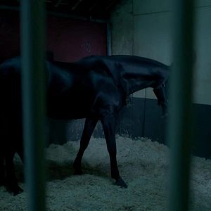 Foto A rienda suelta