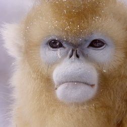 Foto Planeta absurdo