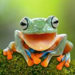 Foto Planeta absurdo