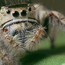 Foto Planeta absurdo