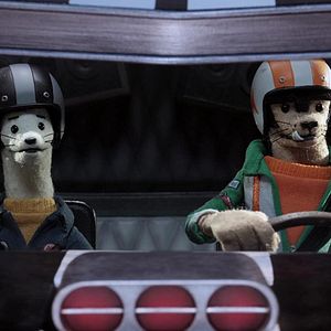 Foto Buddy Thunderstruck